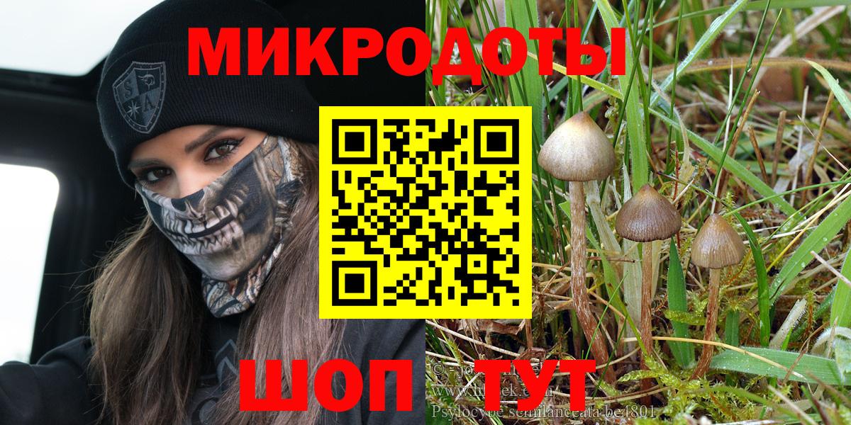 Галлюциногенные грибы мухоморы Шахты
